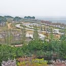 씨사이드파크 이미지