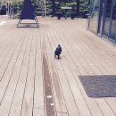 1012 펜션 이미지