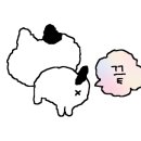 업플로 호스텔 이미지