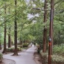 성내4교 아래 이미지