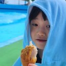 로만바스 수영장 네이버블로그