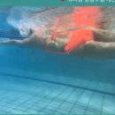 용호레포츠 이미지