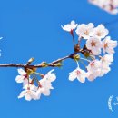 일본어회화 이미지