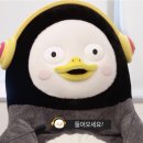 미가식당 이미지
