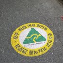 호주면세직영할인점