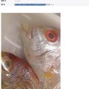 동네할인마트