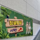 거제식물원 | 거제 여행 필수 코스! 국내 최대 규모 식물원 거제정글돔 후기🌿