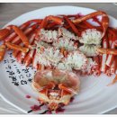 진희식당 | 대포항 회가 맛있는 식당 진희횟집 다녀온후기