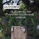 오드사이즈페이퍼 이미지