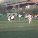 장충중학교 Daum카페