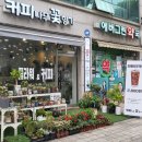 커피나무 꽃향기 이미지