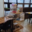 리프패럿시민공원점 이미지