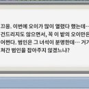 오이랜드 이미지