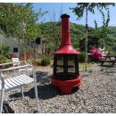 담양버치 이미지