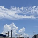 즐거운 행정사 사무소 이미지