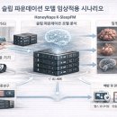 허니냅스