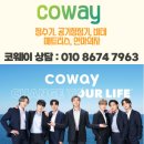 코웨이부귀영화 | 가산 피자 배달 맛집 도미노피자 블록버스터4피자 L 라지