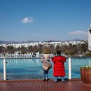 ㅆㅛㅇㅆㅛㅇ돈까스&도시락 부산기장일광신도시점 | 일광신도시 루미베베키즈카페 이용후기