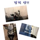 카모스 이미지