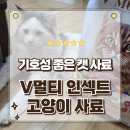 좋은가축인공수정소 | V멀티 인섹트 고양이 사료 오리 추천 알러지 잡고 기호성 폭발 급여후기