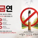 금연클리닉 노코틴정 처방! 금연 후 신체변화 및 부작용 등 후기