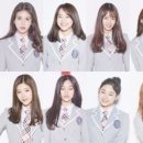 굿밤