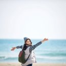 서해바다 이미지