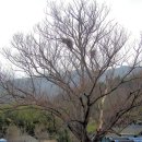 느티나무회관 이미지