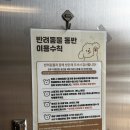 아워해피데이(OURHAPPYDAY) | 세종 라떼맛집? 궁금해서 가본 감성 카페, OUR HAPPY DAY