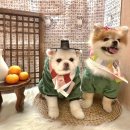 옐레드 동탄예당점 이미지