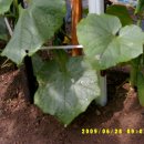 운경농장 이미지