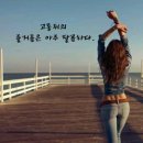 다이어트미