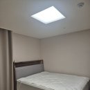 금성수입 | 금성침대 헤스티스H K + KS1224 프레임 후기｜가성비 좋은 신혼침대 찾는다면