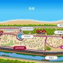 고래불국민야영장 이미지