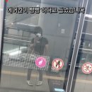유명카 Daum카페