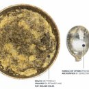 퓨쳐코리아 이미지