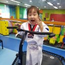 올림픽석사태권도 이미지