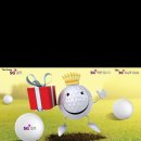 링스골프스쿨 이미지