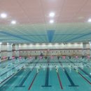 연천군청소년수련관 수영장 이미지