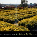 국화황토공원 이미지