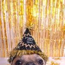 단지내(717-3077)마포OK부동산 이미지