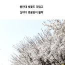 삼보추어탕 이미지