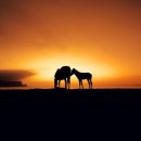 쉼이있는풍경 이미지