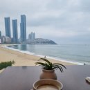 호텔 웨스턴 | 웨스턴조선부산 오션뷰 숙박 후기 해운대시장 동백섬 산책까지 완벽 코스