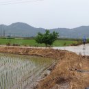 백수읍사무소 이미지