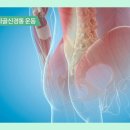 CJ휘트니스 이미지