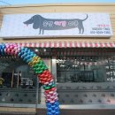 온양애견미용 이미지