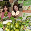 모텔파파야 이미지