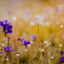 천안실버타운 이미지