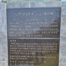 홍도바이킹수산 | 천사섬 신안군 흑산도 여행 후기 ; 환상의 드라이브코스 흑산일주도로